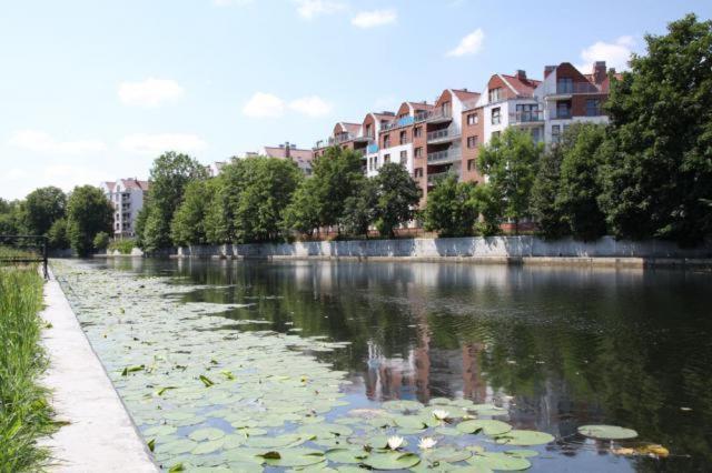 Leilighet Apartament Bello - Free Parking *